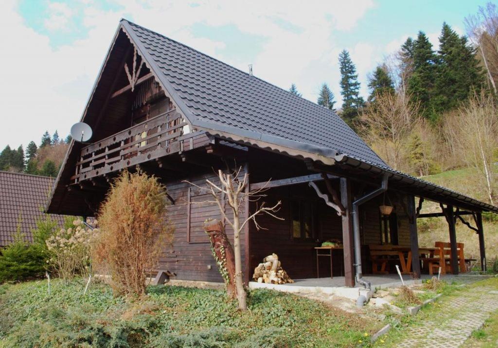 Bieszczadowy Domek Bystre  Ngoại thất bức ảnh